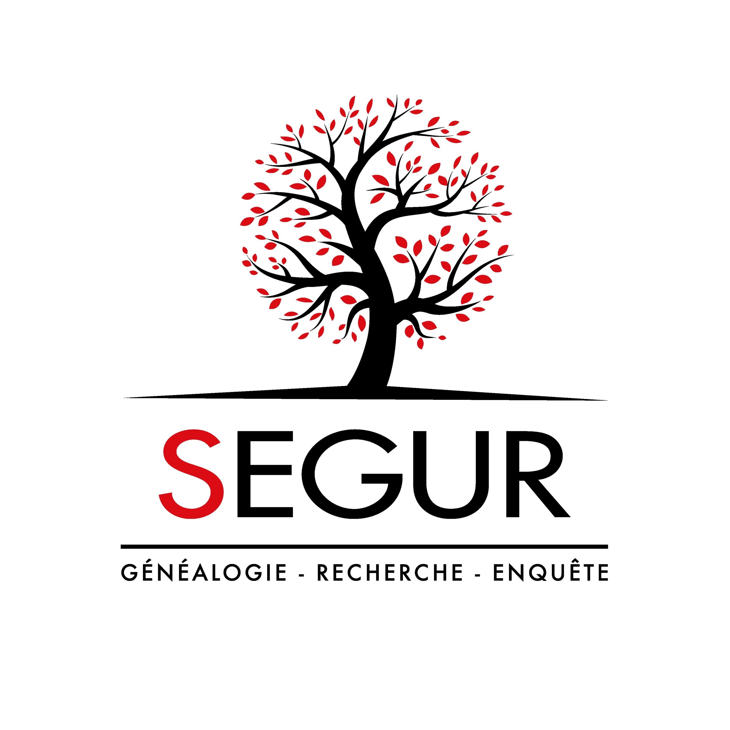 Logo SEGUR